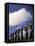 Huge Moai, Ahu Akiri, Easter Island, Chile-Keren Su-Framed Premier Image Canvas