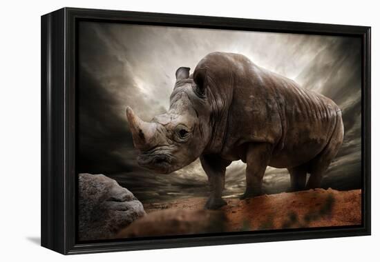 Huge Rhinoceros Against Stormy Sky-NejroN Photo-Framed Premier Image Canvas