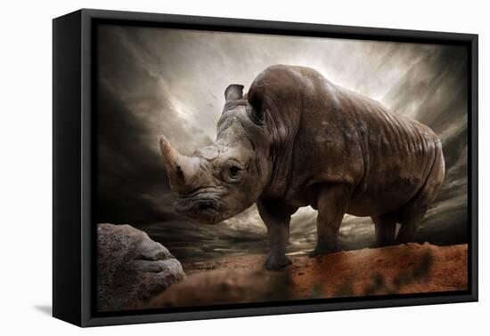 Huge Rhinoceros Against Stormy Sky-NejroN Photo-Framed Premier Image Canvas