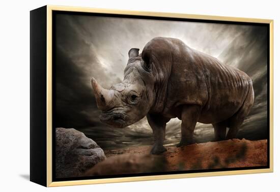 Huge Rhinoceros Against Stormy Sky-NejroN Photo-Framed Premier Image Canvas