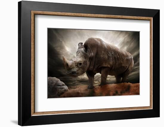 Huge Rhinoceros Against Stormy Sky-NejroN Photo-Framed Photographic Print