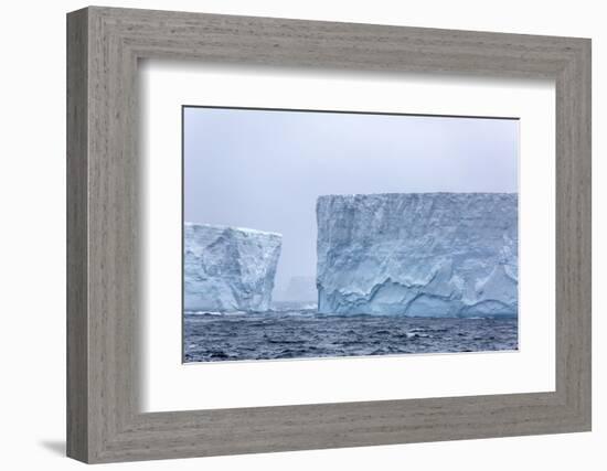 Huge Tabular Icebergs Broken Off from B-17A Iceberg Near Cooper Bay, Polar Regions-Michael Nolan-Framed Photographic Print