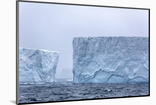 Huge Tabular Icebergs Broken Off from B-17A Iceberg Near Cooper Bay, Polar Regions-Michael Nolan-Mounted Photographic Print
