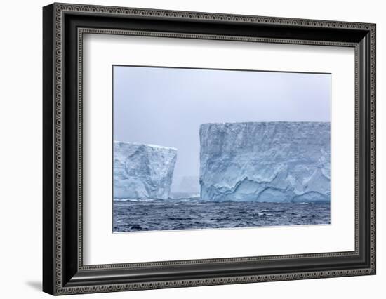 Huge Tabular Icebergs Broken Off from B-17A Iceberg Near Cooper Bay, Polar Regions-Michael Nolan-Framed Photographic Print