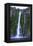 Huge Waterfall in Milford Sound-Michael-Framed Premier Image Canvas