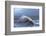 Huge Waves Crash Against a Stone Jetty at Criccieth, Gwynedd, Wales, United Kingdom, Europe-Graham Lawrence-Framed Photographic Print