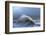 Huge Waves Crash Against a Stone Jetty at Criccieth, Gwynedd, Wales, United Kingdom, Europe-Graham Lawrence-Framed Photographic Print