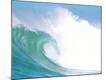 Premium Photographic Print