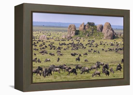 Huge wildebeest herd during migration, Serengeti National Park, Tanzania, Africa-Adam Jones-Framed Premier Image Canvas