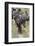 Huge wildebeest herd during migration, Serengeti National Park, Tanzania, Africa-Adam Jones-Framed Photographic Print