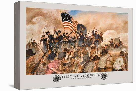 Stretched Canvas Print, , large