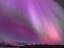 Aurora Borealis, Wrangell Mountains, Alaska, USA-Hugh Rose-Photographic Print