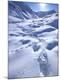 Premium Photographic Print