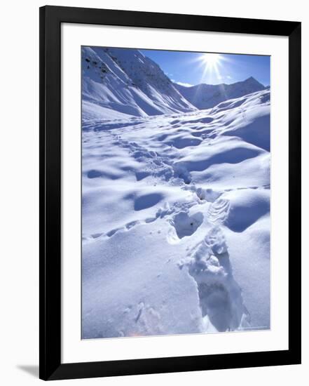 Photographic Print, , large