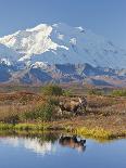 Lake with Mt McKinley, Denali National Park and Preserve, Alaska, USA-Hugh Rose-Photographic Print