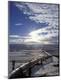 Premium Photographic Print