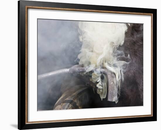 Hughes Ranch Branding, Stanford, Montana, USA-Chuck Haney-Framed Photographic Print