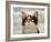 Hugo Hege-Lowell Herrero-Framed Art Print