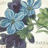Blue Floral-Hugo Wild-Art Print