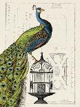 Peacock Birdcage I-Hugo Wild-Art Print