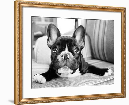 Hugo-Kim Levin-Framed Photographic Print