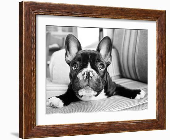 Hugo-Kim Levin-Framed Photographic Print