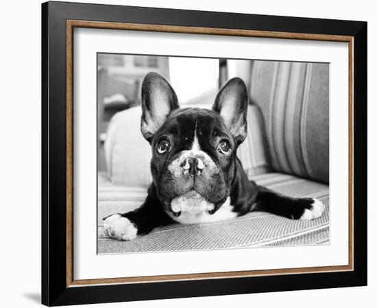 Hugo-Kim Levin-Framed Photographic Print