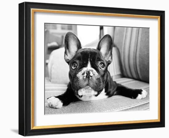 Hugo-Kim Levin-Framed Photographic Print