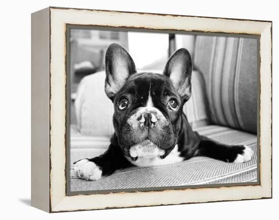 Hugo-Kim Levin-Framed Premier Image Canvas