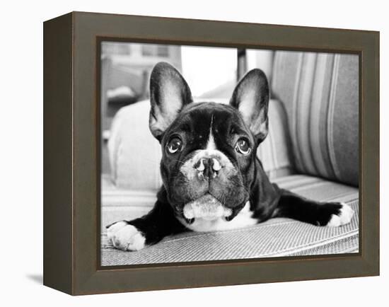 Hugo-Kim Levin-Framed Premier Image Canvas