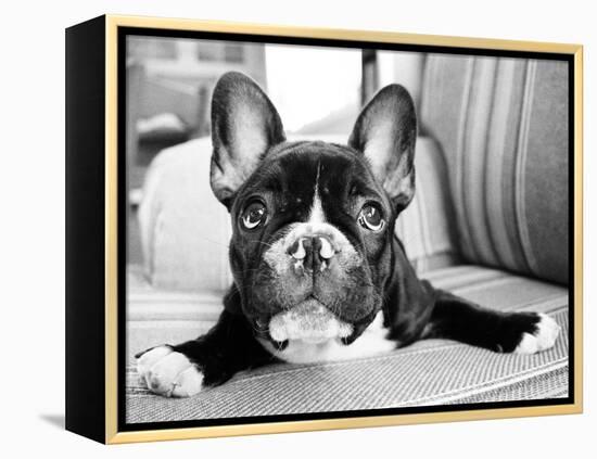 Hugo-Kim Levin-Framed Premier Image Canvas