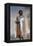 Hugues De Payens, Grand Master of the Knights Templar-Henri Lehmann-Framed Premier Image Canvas