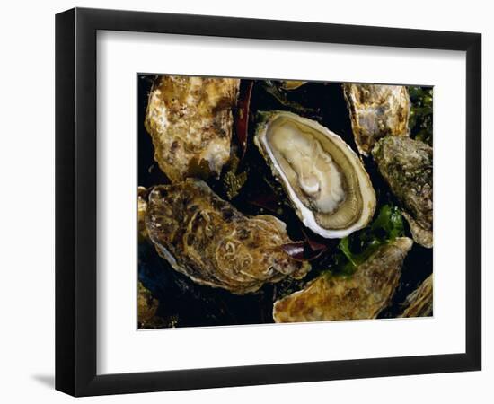 Huitres Fines De Claires (Oysters), Ile De Re, Charente Maritime, France, Europe-J P De Manne-Framed Photographic Print