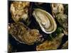 Huitres Fines De Claires (Oysters), Ile De Re, Charente Maritime, France, Europe-J P De Manne-Mounted Photographic Print