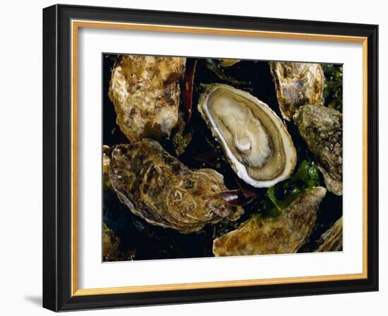 Huitres Fines De Claires (Oysters), Ile De Re, Charente Maritime, France, Europe-J P De Manne-Framed Photographic Print