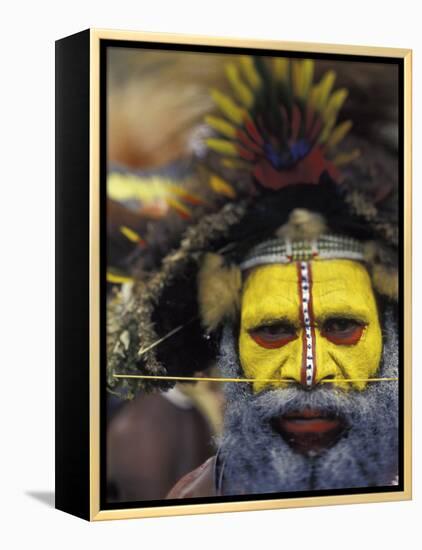 Huli Wigman, Tari, Papua New Guinea, Oceania-Michele Westmorland-Framed Premier Image Canvas