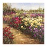 Red Poppy Trail-Hulsey-Stretched Canvas