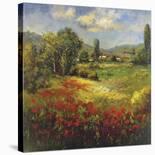 Poppies and Stream-Hulsey-Art Print