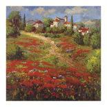 Red Poppy Trail-Hulsey-Stretched Canvas