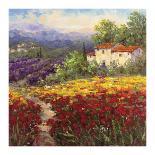 Country Village I-Hulsey-Stretched Canvas