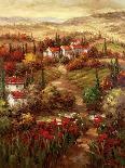 Country Village I-Hulsey-Stretched Canvas