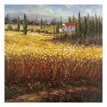 Village Pond-Hulsey-Stretched Canvas