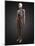 Human Anatomy, Artwork-SCIEPRO-Mounted Photographic Print