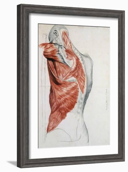 Human Anatomy, Muscles of the Torso and Shoulder-Pierre Jean David d'Angers-Framed Giclee Print