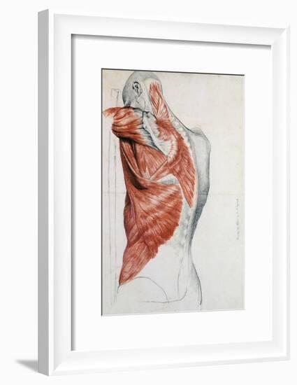 Human Anatomy, Muscles of the Torso and Shoulder-Pierre Jean David d'Angers-Framed Giclee Print