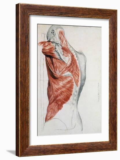 Human Anatomy, Muscles of the Torso and Shoulder-Pierre Jean David d'Angers-Framed Giclee Print