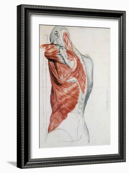 Human Anatomy, Muscles of the Torso and Shoulder-Pierre Jean David d'Angers-Framed Giclee Print