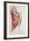 Human Anatomy, Muscles of the Torso and Shoulder-Pierre Jean David d'Angers-Framed Giclee Print