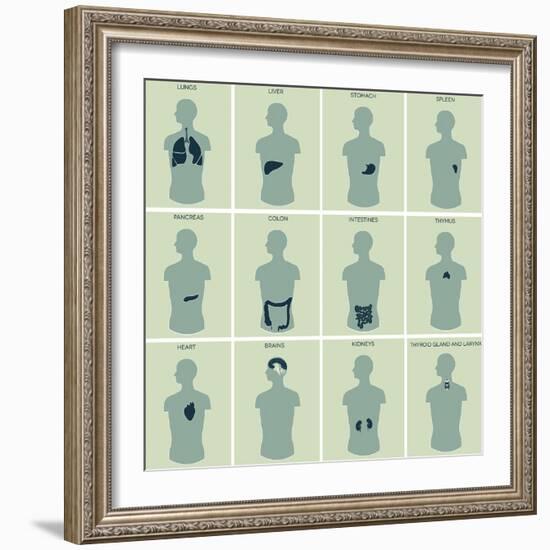 Human Anatomy Parts-guniita-Framed Art Print