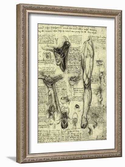 Human Anatomy-Leonardo da Vinci-Framed Giclee Print